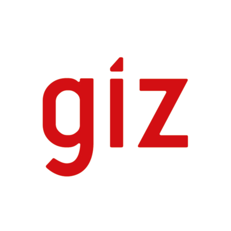 GIZ uses DevResults